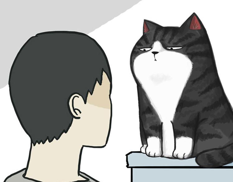 第36话 猫奴为什么没有尊严15