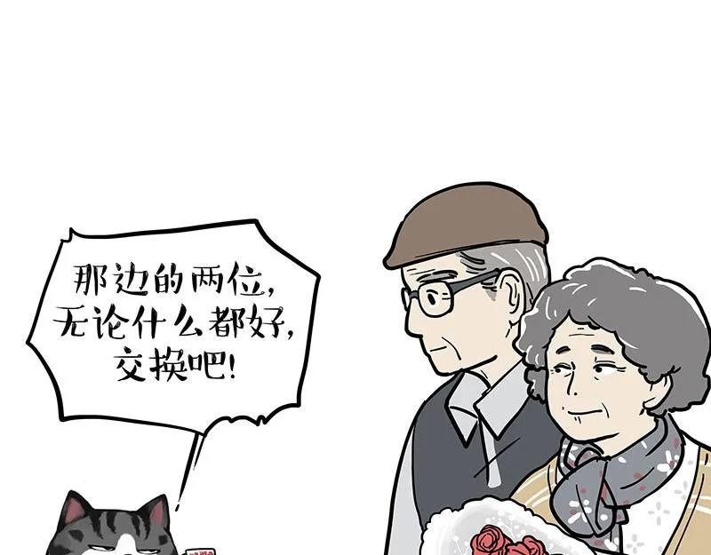 第377话 谢谢小猫咪16