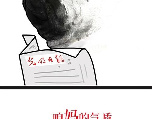 第24话 为什么上厕所要偷看20