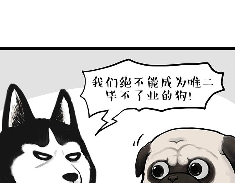 第280话 狗上学52