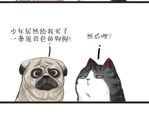 第20话 蜜汁少年！1