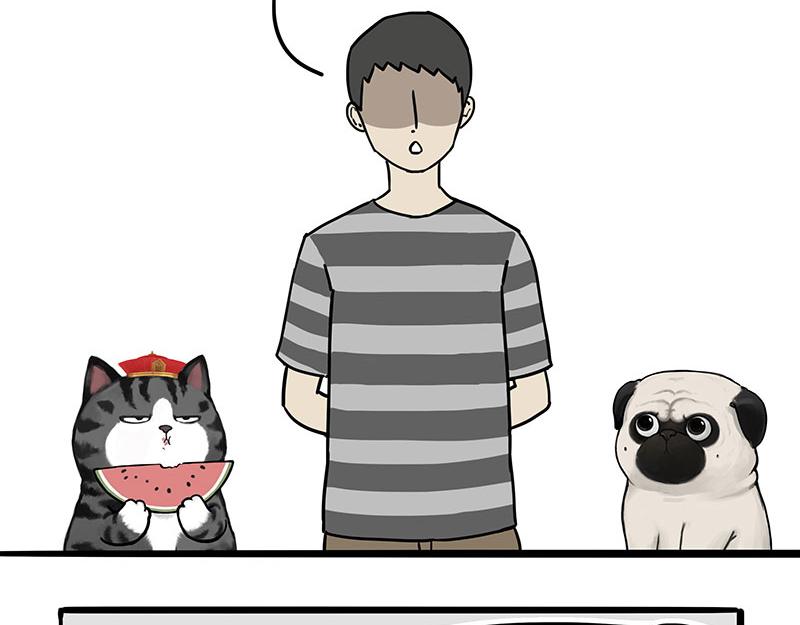 第307话 面相大解析3
