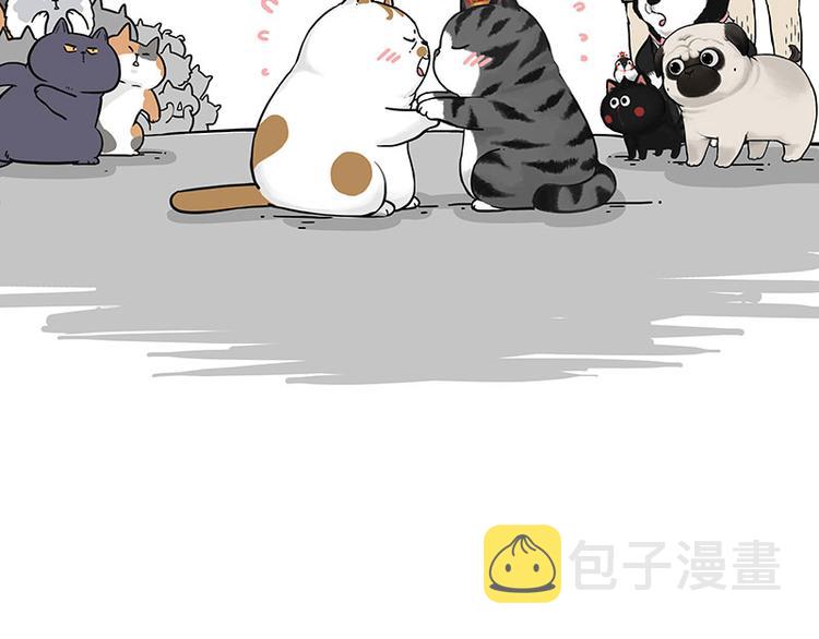 第263话 没心没肺的快乐12