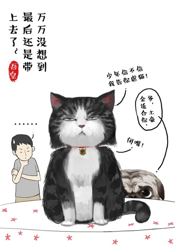 第2话 傲娇是猫的原则5