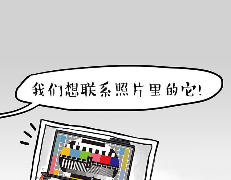 第230话 巴扎黑进娱乐圈？35
