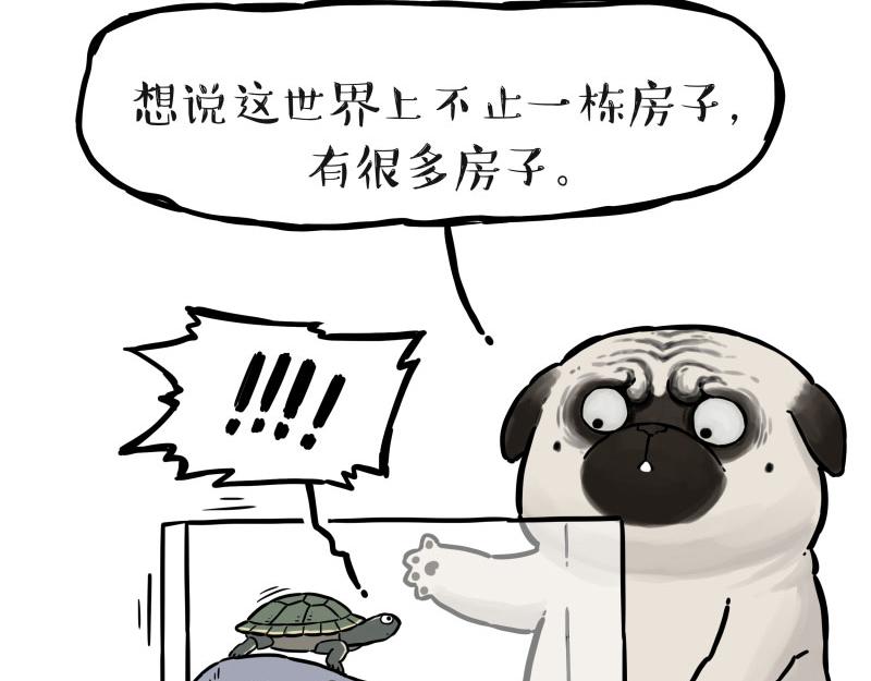 第298话 龟与狗与世界29