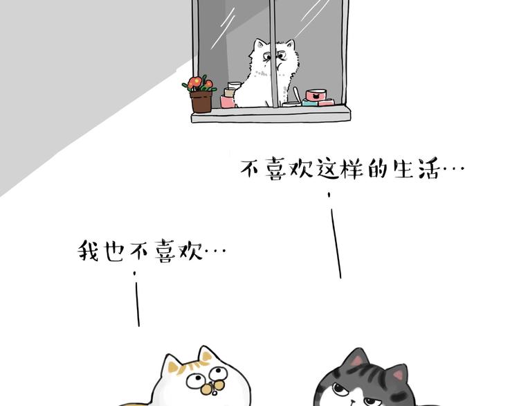 第185话 好兄弟！39