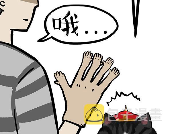 第71话 撸猫神器24