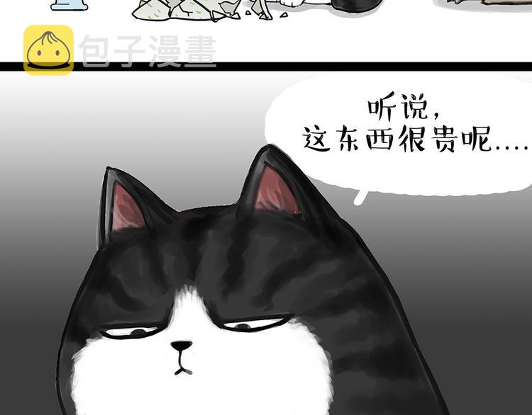 第54话 太受关注也不是好事13