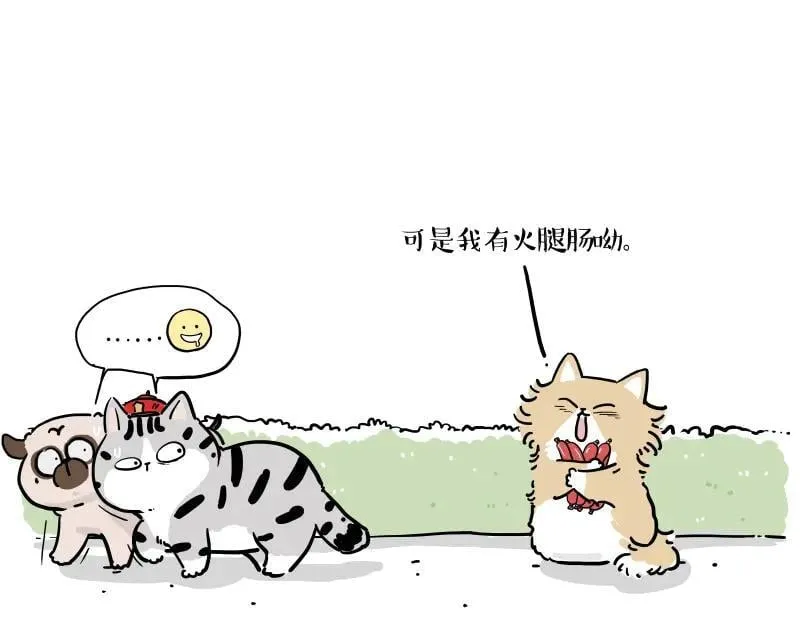 第424话 话痨小猫8