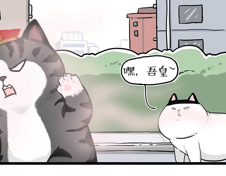 第284话 美喵竟是我自己17
