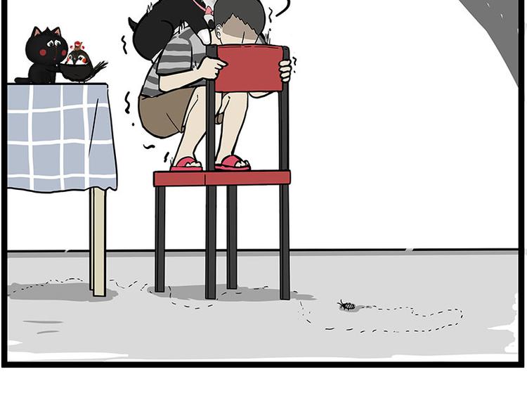 第261话 灭蟑？15