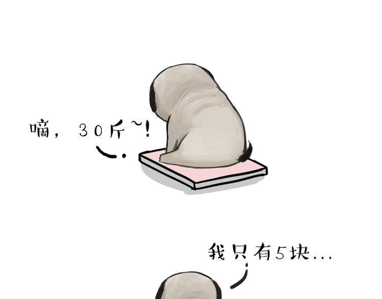 第74话 猫主子送的也敢扔12