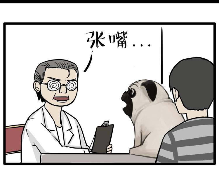 第78话 带宠物看病（上）9