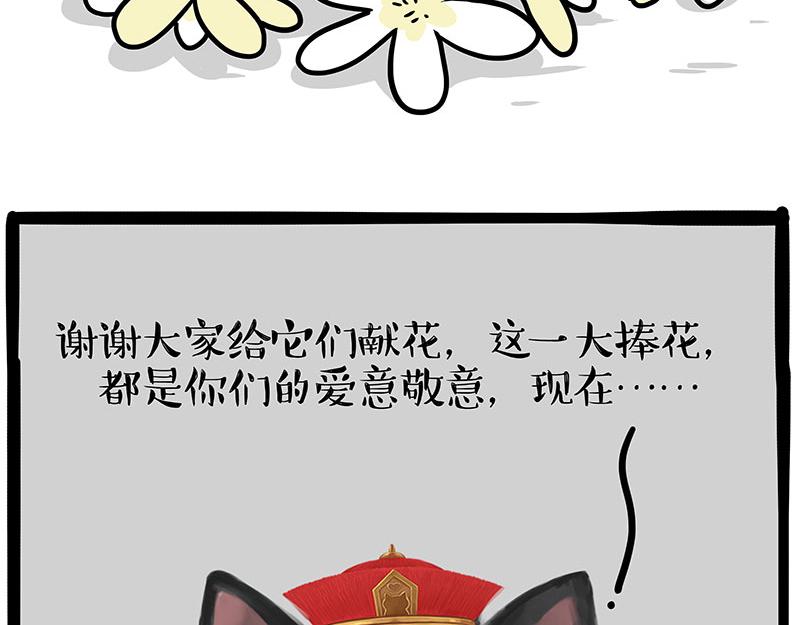 第336话 “告别”仪式45