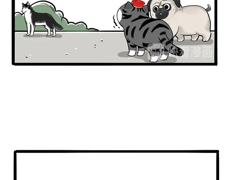 第187话 巴扎黑终究是错付了50