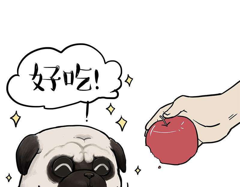 第394话 养狗指南7