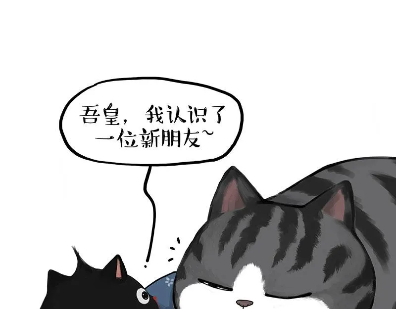 第377话 谢谢小猫咪23