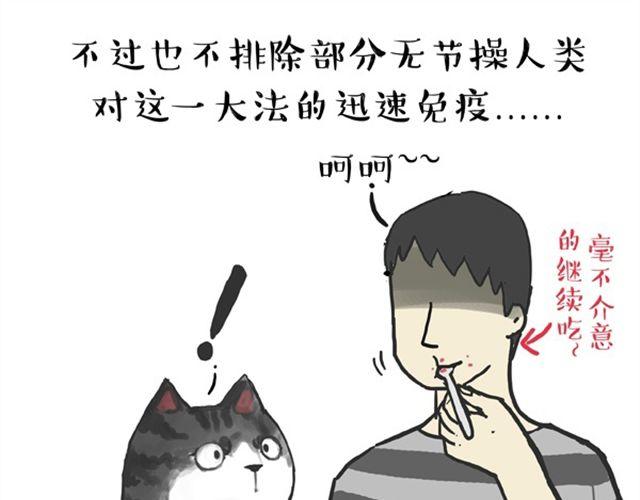 第16话 我家猫怎么能牺牲色相16