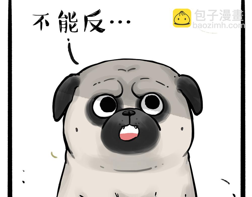 第331话 猫王争霸之“杀青”37