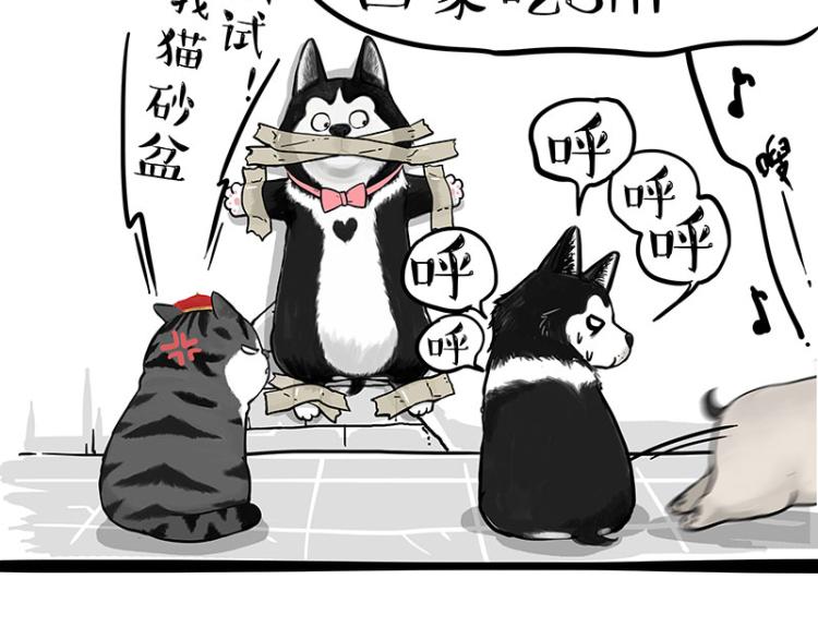 第288话 冒牌货，拿来吧你！57
