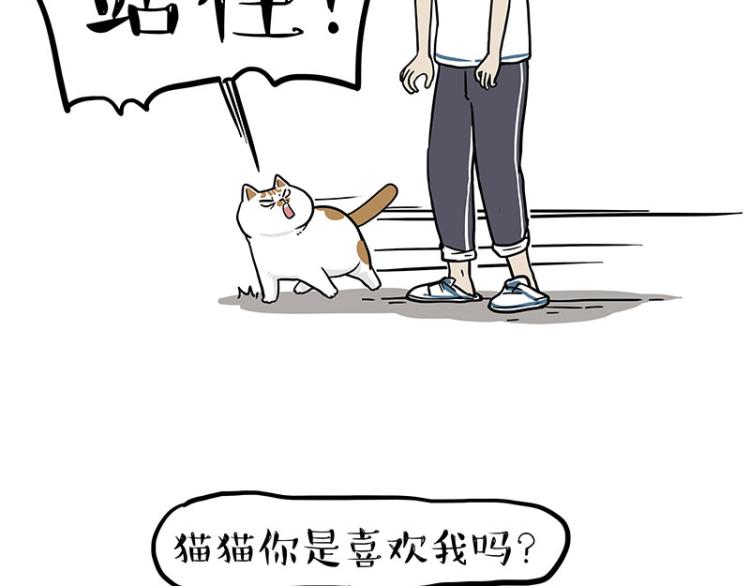 第290话 凶恶猫猫组织55
