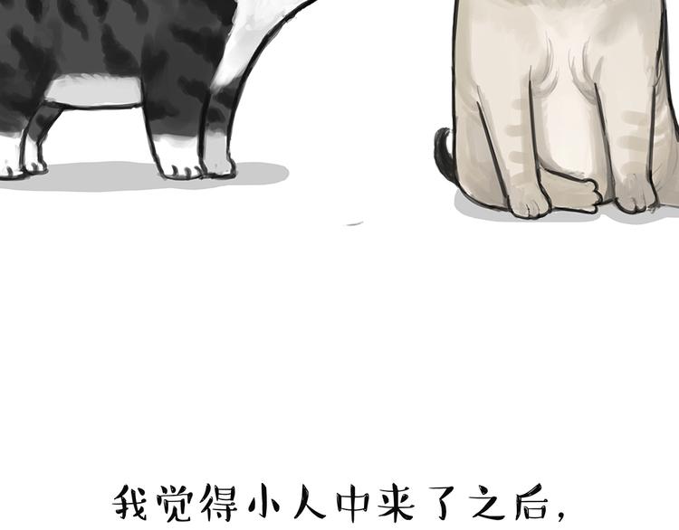 第49话 只见新人笑未闻旧人哭19