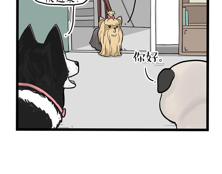 第283话 三角恋44