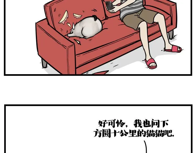 第423话 卡沙不拦卡11