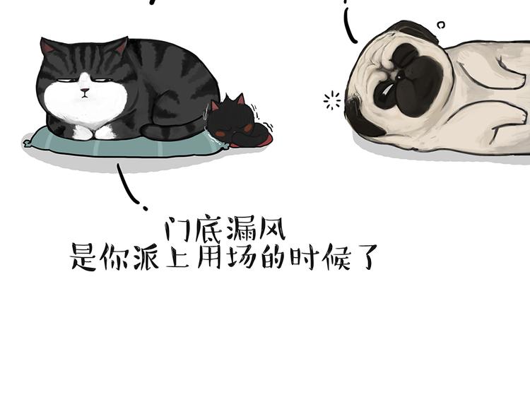 第51话 猫和狗的待遇就是不同22