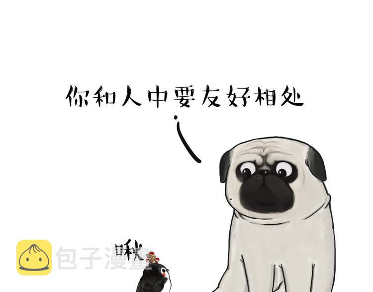 第57话 宠物太粘人是什么体验9
