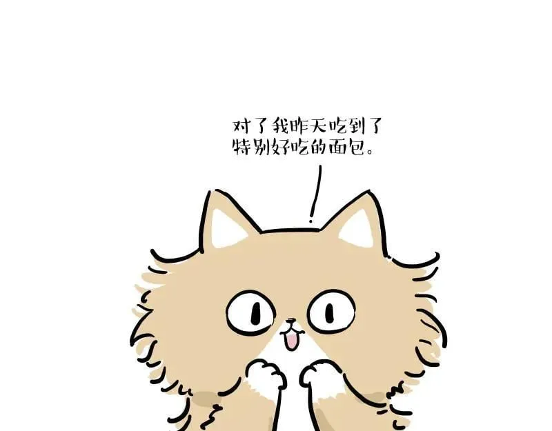 第424话 话痨小猫22
