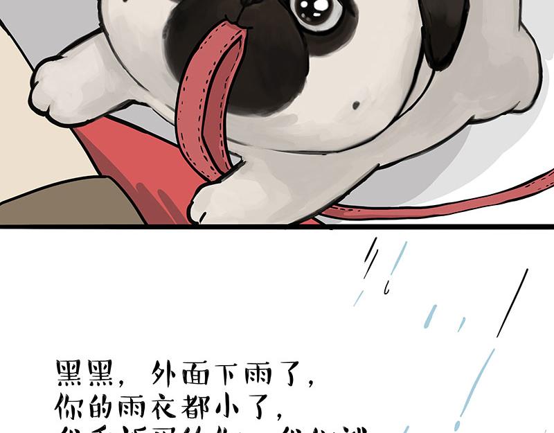 第304话 你是真的狗23