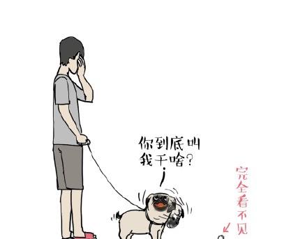 第17话 尽我所能，不打扰你19