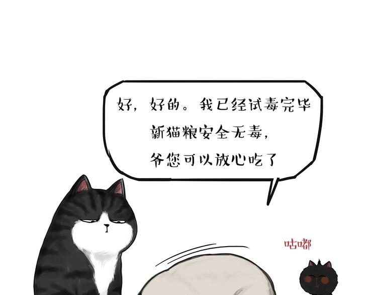 第51话 猫和狗的待遇就是不同13