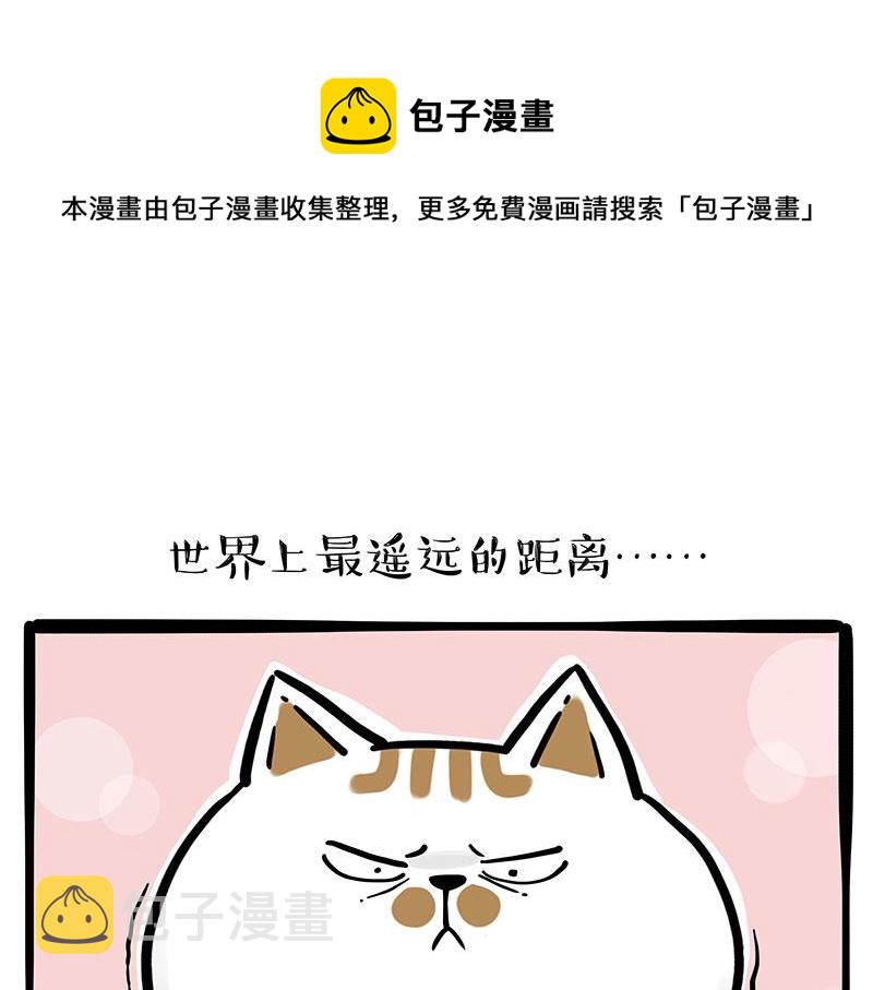 第320话 猫孵鱼0
