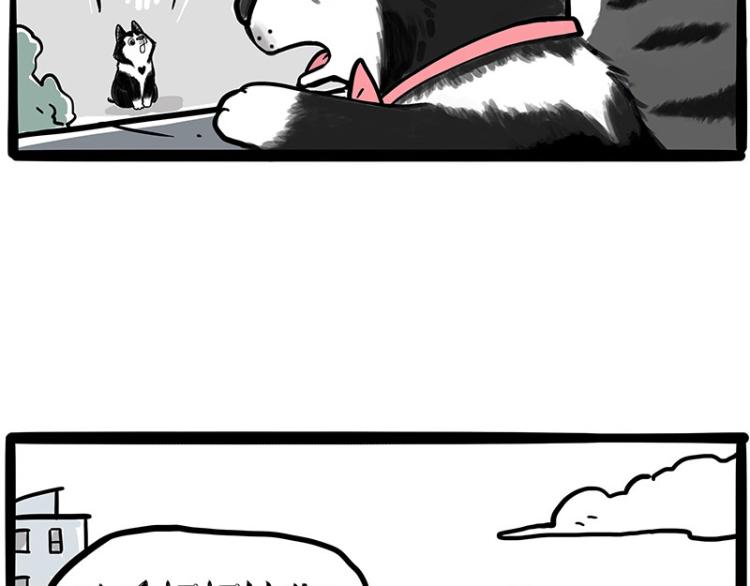 第289话 吹牛狗真牛36