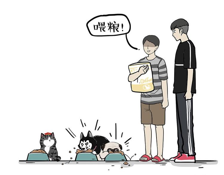 第255话 小学生的胜利51