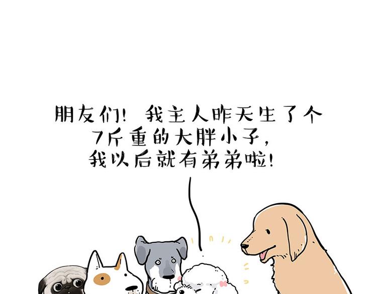 第232话 我退出这个家16
