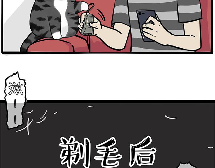 第282话 型男（猫）36
