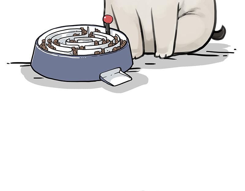 第341话 傻狗逆袭15