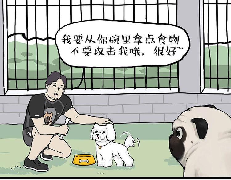 第280话 狗上学47