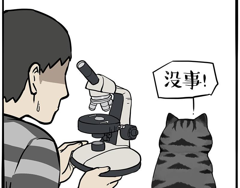 第371话 不一样的“笑”19