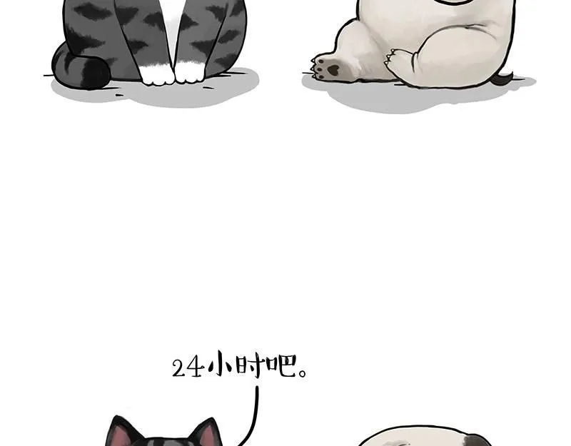 第392话 真相了41