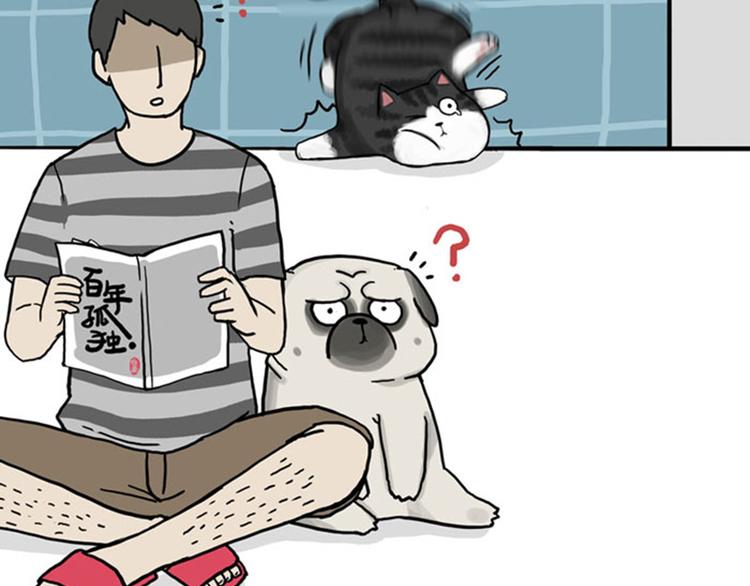 第37话 今天，你优雅了吗26