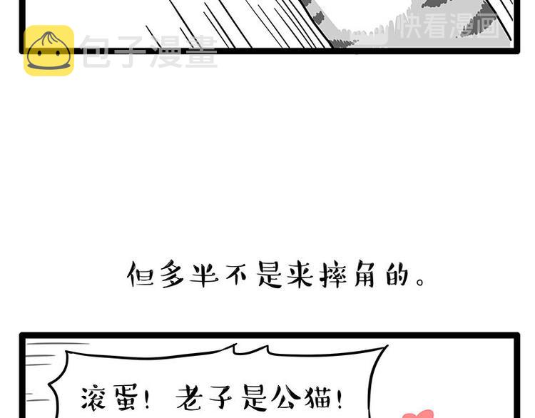 第254话 摔角大赛谁与争锋41