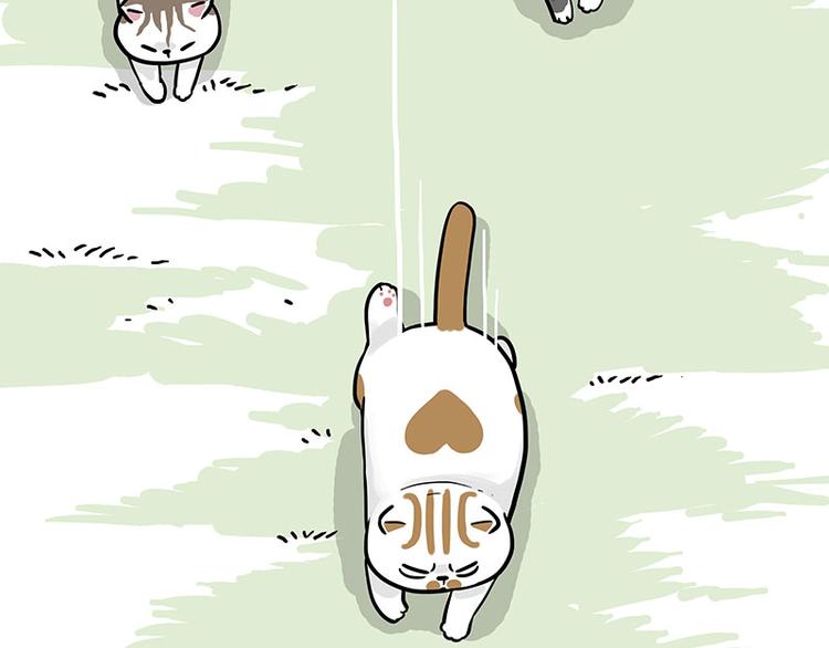 第271话 进击的流浪猫！23