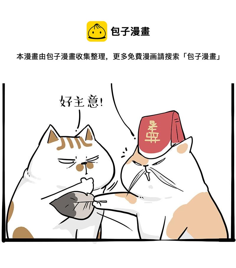 第320话 猫孵鱼8