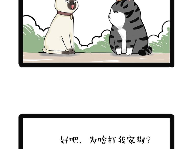 第171话 不许你走！13