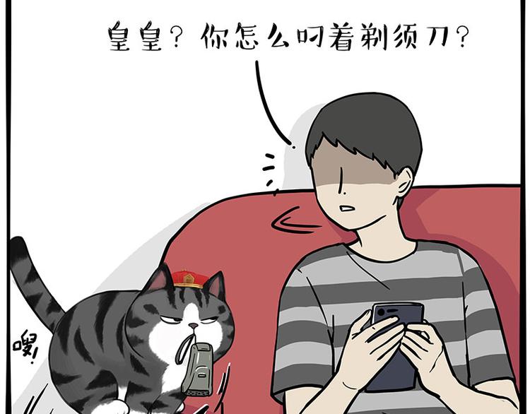 第282话 型男（猫）29